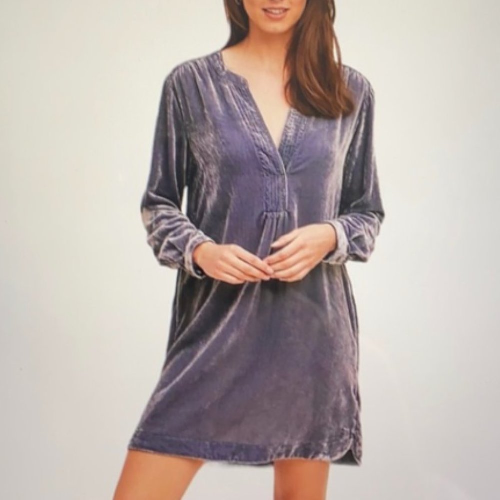 Anthropologie Slate Blue Melody Velvet Tunic Dress (Sm)